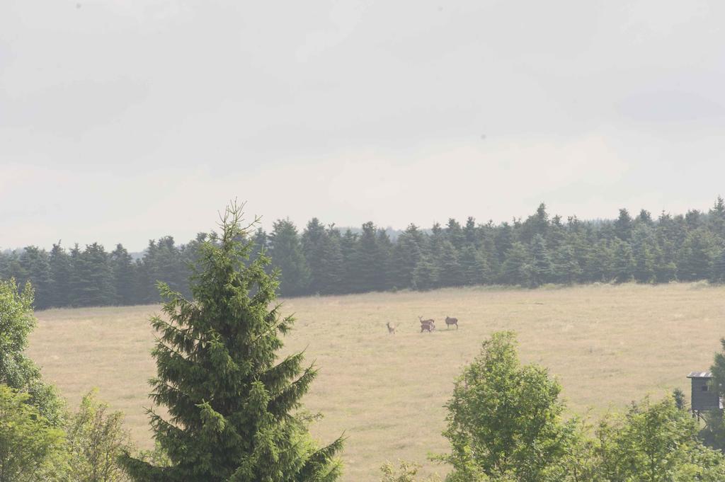 Penzion Hajovna Klíny Exterior foto